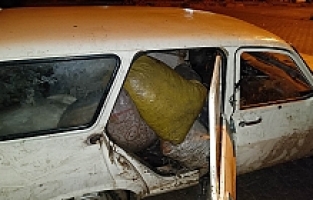 Zeytin Hırsızları Jandarmadan Kaçamadı