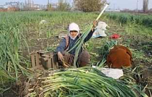 Manisalı Başkandan 'Alışverişinizi Pazar Yerlerinden Yapın' Çağrısı