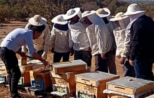 Saruhanlı’da Arıcılara Kışlatma Eğitimi Verildi