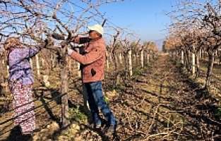 İşçi Ücretleri Artınca İş Başa Düştü