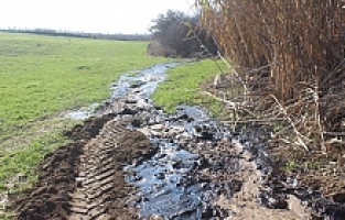 Manisalı Çiftçi Su Ararken Petrol Benzeri Sıvı Buldu