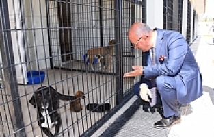 Salihli’deki Rehabilitasyon Merkezi “Can Dostlara” Şifa Dağıtıyor