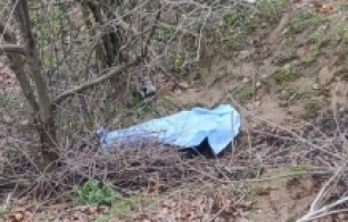 Ağaçtan Düşen Çiftçi Hayatını Kaybetti