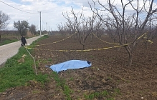 Tarlada Erkek Cesedi Bulundu