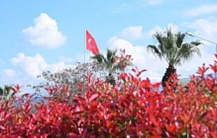 Salihli’de Çiçekler Rengarenk Görüntüleriyle Çevreye Güzellik Katıyor