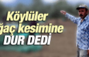 AĞAÇ KESİMİNE KÖYLÜLER DUR DEDİ