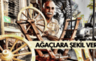 AĞAÇLARA ŞEKİL VERİYOR