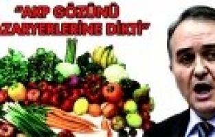 AKÇAY GÜMRÜK KANUN TASARISINI ELEŞTİRDİ 