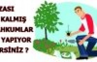 ASDM’NİN TEMİZLİĞİ SERBEST DENETİMLİLERE EMANET 