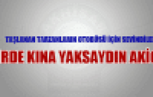 Ayıp Ettin Akigo!...