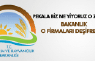 Bakanlık sahtecilik yapan firmaları açıkladı