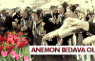 BELEDİYE KARAKÖY’DE LALE DAĞITTI 