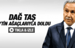 BÜLENT ARINÇ DAĞ TAŞ ZEYTİN AĞAÇLARIYLA DOLU