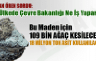 Çaldağı Toz Duman