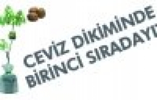 CEVİZ DİKİMİNDE MANİSA 1. SIRADA