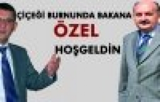 HOŞGELDİN HEDİYESİ SORU ÖNERGESİ OLDU 