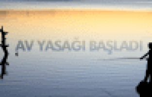 İÇ SULARDA SU ÜRÜNLERİ AV YASAĞI BAŞLADI