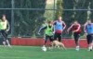 İDMAN SAHASINA KÖPEK GİRİNCE...