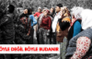 KADIN ÇİFTÇİLERE ZEYTİN AĞACI BUDAMA EĞİTİMİ VERİLDİ