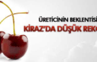 KİRAZ ÜRETİCİLERİ REKOLTEYİ DÜŞÜK BEKLİYOR