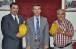 KIRKAĞAÇ KAVUNU ARTIK BARKODLU SATILACAK