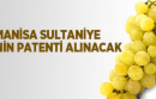 MANİSA SULTANİYE İSMİNİN PATENTİ ALINACAK
