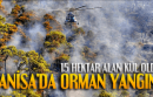 MANİSA'DA 15 HEKTAR ALAN KÜL OLDU