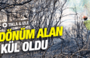 MANİSA'DA 20 DÖNÜMLÜK ALAN KÜL OLDU