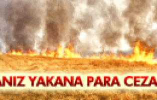 MANİSA'DA ANIZ YAKANA PARA CEZASI