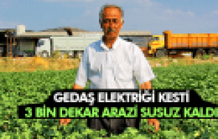 MANİSA'DA GEDAŞ ELEKTRİĞİ KESTİ 3 BİN DEKAR ARAZİ SUSUZ KALDI