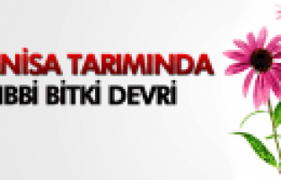 MANİSA'DA İLK KEZ EKİNEZYA BİTKİSİ YETİŞTİRİLDİ