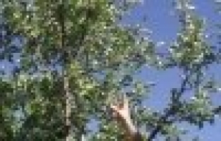 Manisa'da olağan dışı durum