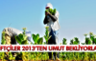 MANİSA'LI ÇİFTÇİLER 2013 YILINA UMUTLA BAKIYORLAR