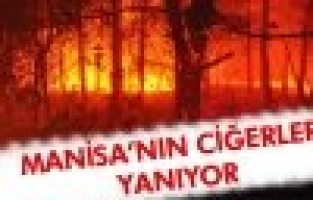 Manisa'nın Ciğerleri Yanıyor...