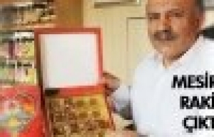 MESİR MACUNU’NA YENİ RAKİP KUMRU MACUNU