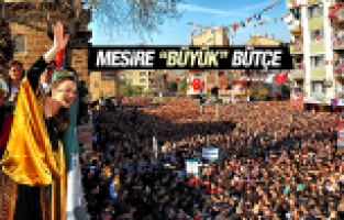 MESİRE BÜYÜK BÜTÇE