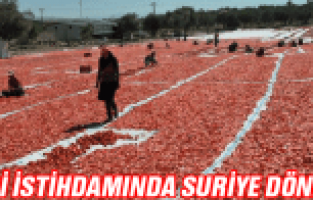 MEVSİMLİK İŞÇİ İSTİHDAMINDA SURİYELİLER DÖNEMİ