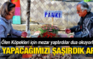 ÖLEN KÖPEKLERİ İÇİN MEZAR YAPTIRDILAR