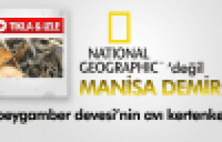 Peygamber Devesi'nin Kertenkele avı