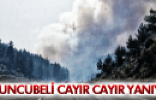 SABUNCUBELİ CAYIR CAYIR YANIYOR