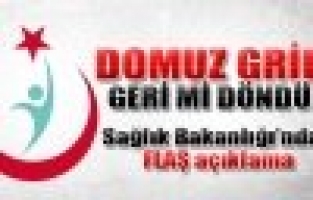 Sağlık Bakanlığı'ndan domuz gribi açıklaması