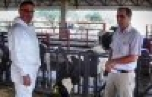 SAĞLIKLI BUZAĞI SAĞLIKLI SÜRÜ DEMEK 