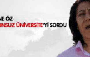 Sakine Öz, Başbakan'a kanunsuz üniversiteyi sordu