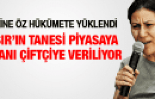 SAKİNE ÖZ HÜKÜMETE YÜKLENDİ