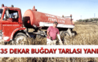 SARUHANLI'DA 35 DEKAR BUĞDAY TARLASI YANDI