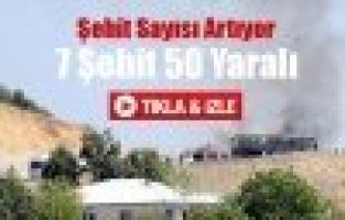 Şehit Sayısı Artıyor