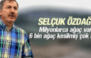 SELÇUK ÖZDAĞ YIRCA'DA KESİNLEN AĞAÇLARI YORUMLADI “MİLYONLARCA AĞAÇ VAR 6 BİN TANE KESİLMİŞ ÇOK MU?“