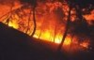 Spil Dağı'ndaki Yangında 15 Hektar Kızılçam Ormanı Zarar Gördü