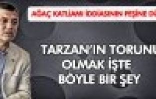 SPİL’DEKİ AĞAÇLARI KİM KESTİ?