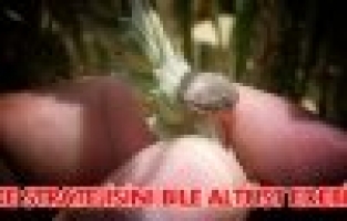 SÜNE MÜCADELESİ MASAYA YATIRILDI